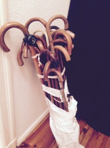 ÉCOLEFLÂNEURS  danken Elsa Weise